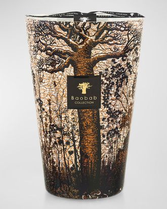 Baobab Sacred Trees Morondo 7-Wick Max35 Candle, 352.7 oz