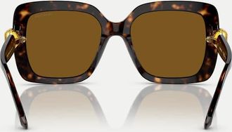 Swarovski Sk6001 - Occhiali da sole squadrati color havana con lenti marroni polarizzate-Marrone