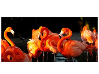 Schubiger M&ouml;bel Digitaldruck auf Acrylglas Flamingos