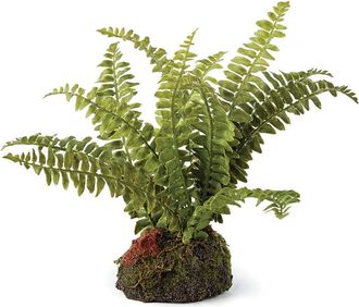 Napa Home & Garden Boston Fern Artificial Drop-In 7 in Green at Nordstrom