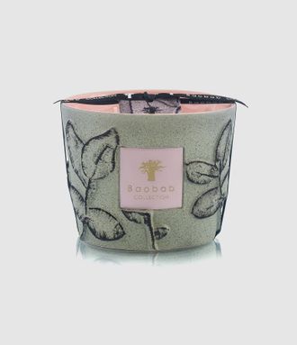 Baobab Bougie Max 10 Folia Maquis