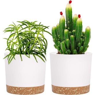 OEM Juego De 2 Macetas Para Plantas De Interior Con Orificios De Drenaje Y Base Extra&iacute;ble, Platillo Decorativo Moderno (blanco)