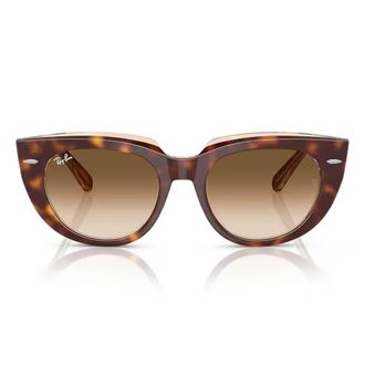 Ray-Ban Doreen Brown Clear Gradient Cat Eye Ladies Sunglasses RB2286 141451 52