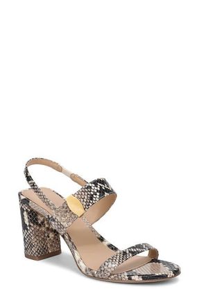Veronica Beard Genetta Slingback Sandal in Ecru Multi at Nordstrom, Size 10