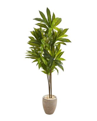 Nearly Natural 68In Dracaena Artificial Plant In Planter (Real Touch)