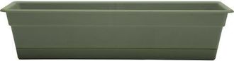 Bloem 24 Dura Cotta Window Box Planter, Living Green at Nordstrom
