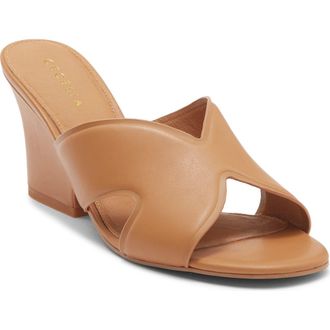 Cecelia New York Faye Wedge Slide Sandal in Tan at Nordstrom, Size 9.5