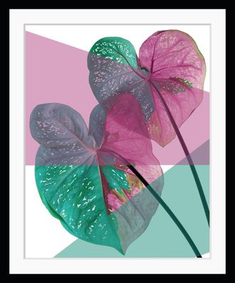 Queence Bild »Vicky« Blätter Kunst Pflanzen Pflanzenbilder HD Premium Poster-Druck inkl. Holzrahmen