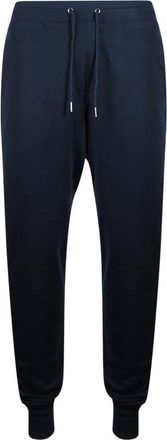 Tommy Hilfiger Heren Desert Sky Joggingbroek (Marine)