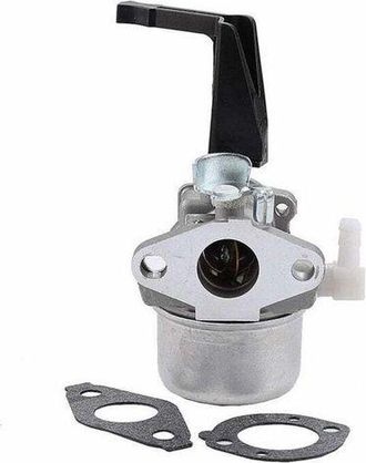 OEM Carburador 696065 Compatible Con Briggs & Stratton 696065 697422 110402 0206 E1