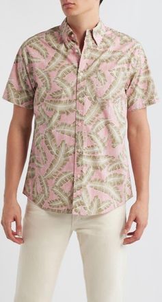 Brooks Brothers Palm Leaf Print Short Sleeve Cotton Button-Down Shirt at Nordstrom, Size Xx-Large