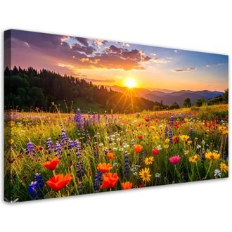 Feeby Cuadro Sobre Lienzo, Flores Silvestres En Un Prado Naturaleza, 120x60