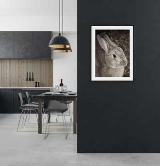 Queence Bild »Tilde« Foto Hase Hasen Haustiere Kunst 1 Stk. tlg. HD Premium Poster-Druck inkl. Holzrahmen
