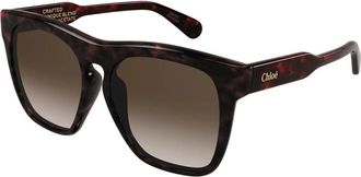 Chlo&eacute; Havana/Bruin Getinte Zonnebril - Dames - Zonnebrillen - Bruin - 56 MM - Accessoires
