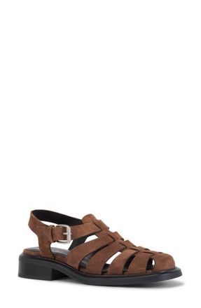 Vagabond Ellis Fisherman Sandal in Cocoa Brown at Nordstrom, Size 11Us