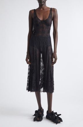 Collina Strada Pamela Sheer Lace Slipdress in Black at Nordstrom, Size X-Small