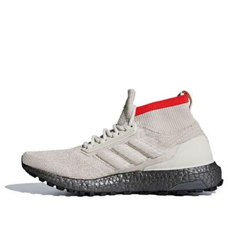 adidas UltraBoost AT Clear Brown AQ0471