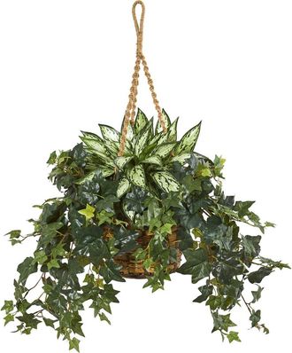 Nearly Natural 30-in Silver Queen and Ivy Artificial Plant in Hanging Basket in Green at Nordstrom
