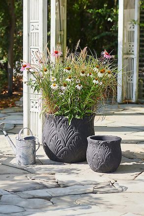 Terrain Paloma Ceramic Planter, 23