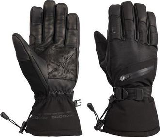 Trespass Gender Inclusive Edonia Dlx Leather Ski Gloves in Black at Nordstrom, Size X-Large
