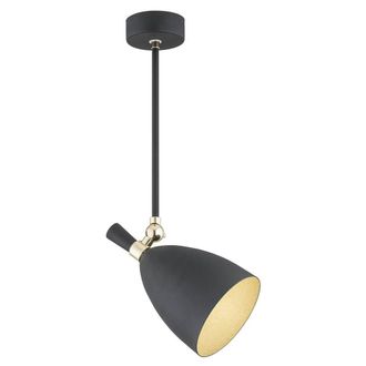 Netlighting Charlotte Single Spotlight Black Structure Brass Elements