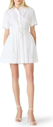 Steve Madden Ninna Lace Front Dress in White at Nordstrom, Size X-Small