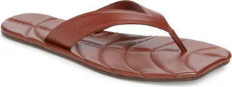 J.W.Anderson Leaf Sandal in Brown at Nordstrom, Size 35
