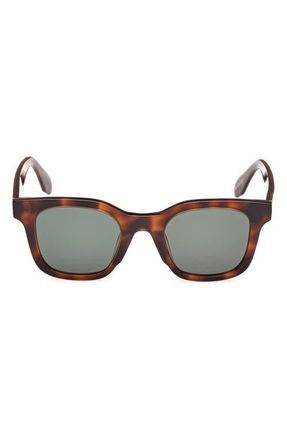 adidas 47MM Round Sunglasses in Dark Havana /Green at Nordstrom