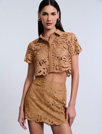 BCBGeneration MAXAZRIA Eyelet Button Down Polo in Brown Sugar at Nordstrom, Size 14