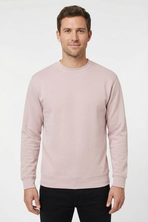 Fruit Of The Loom Sweatshirt FRUIT OF THE LOOM, Herren, Gr. XXL (60/62), rosa (puder rose), angeraute Sweatware, Obermaterial: 80% Baumwolle, 20% Polyester, unifarben, 