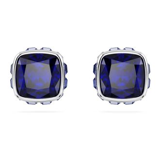 Swarovski Earrings, female, Gray, Size: ONE SIZE Watches