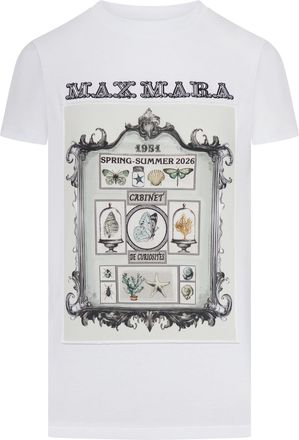 Max Mara COTTON JERSEY T-SHIRT WITH PRINT - Max Mara - Woman
