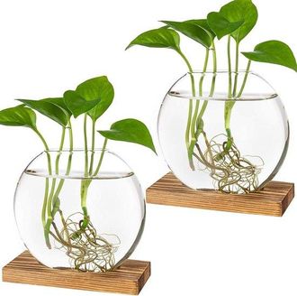 OEM Paquete De 2 Estaciones De Propagaci&oacute;n De Vidrio: Maceta Redonda Con Soporte De Madera Plantas Hidrop&oacute;nicas, Terrario Decorativo Oficina (marr&oacute;n)