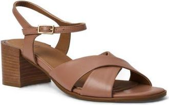 Aquatalia Domenica Weatherproof Ankle Strap Sandal in Clay Nappa at Nordstrom, Size 10.5