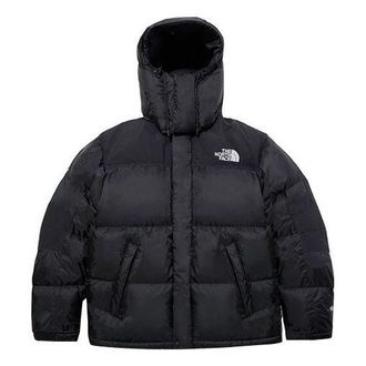 The North Face 1997 GTX Puffer Jacket Black NJ1DL62A