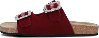 Elena Iachi Schoenen, Dames, Paars, 39 EU, Denim, Paarse Velvet Slipper met Diamanten Gesp
