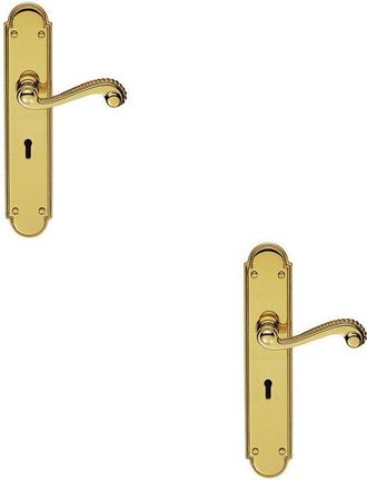 Loops 2x PAIR Beaded Pattern Handle on Lock Backplate 249 x 50mm Polished Brass