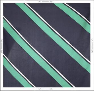 Max Mara Accessoires, Dames, Veelkleurig, ONE Size, Silky Scarves