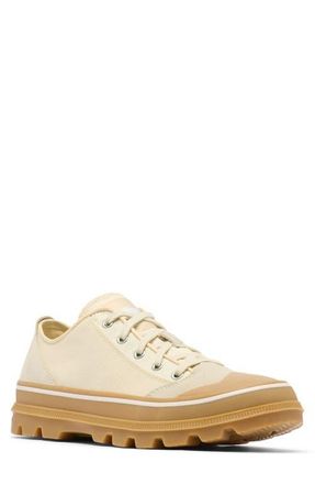 Sorel SCOUT N ABOUT Low Sneaker in Chalk/Gum at Nordstrom, Size 10