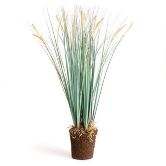 Napa Home & Garden Field Grass Drop-In 35 in Green at Nordstrom