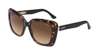 Colcci Alexia C0181F2934 Womens Sunglasses Tortoiseshell Size 52