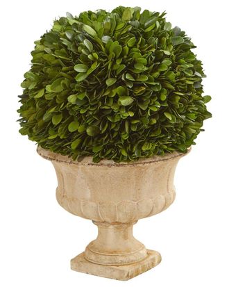 Nearly Natural Boxwood Topiary Ball Preserved Plant in Decorative Urn
