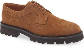 Gentle Souls Faro Wingtip Brogue Derby in Tan Suede at Nordstrom, Size 11.5
