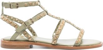 Ash Sandali Pandora - Verde