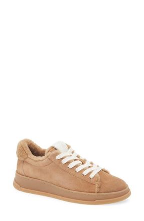 Stuart Weitzman Ellis Genuine Shearling Lined Sneaker in New Camel at Nordstrom, Size 10.5