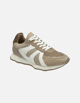 Ravel Womens Innes Womens Trainers - Brown - Size: 6