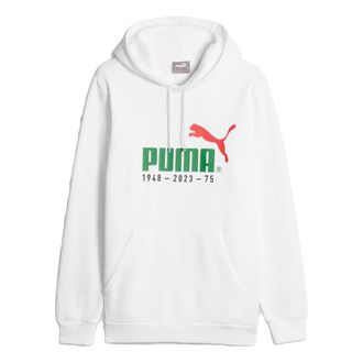 Puma No.1 Logo Celebration Hoodie White 676021-02