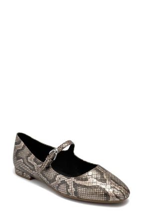 Aerosoles Annette Mary Jane Flat in Champagne Metallic Snake Print at Nordstrom, Size 9.5