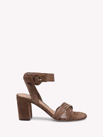 Gianvito Rossi Lianne Sandals in Brown Suede at Nordstrom, Size 36