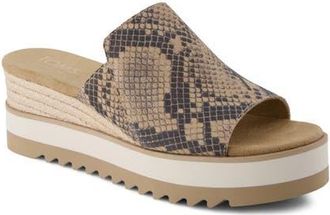 Toms Diana Mule Sandal in Medium Beige at Nordstrom, Size 9.5